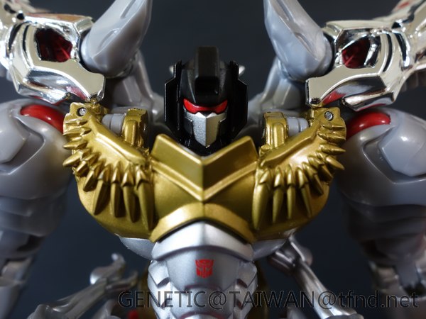 Tranformers Age Of Extinction Platinum Edition Grimlock Dinobot Pictorial Review  (6 of 27)